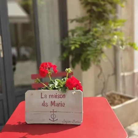 La Maison De Marie, Maison De 4 Personnes, Option Patio 2 Pers Supp * Aigues-Mortes